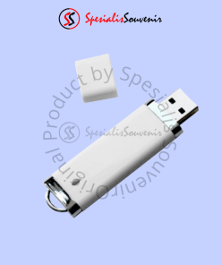 Flashdisk Plastik 001 (4GB)